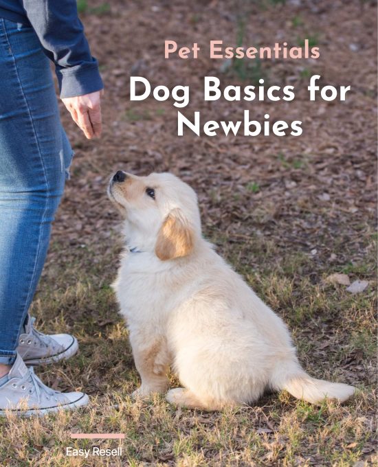 Dog Basics for Newbies