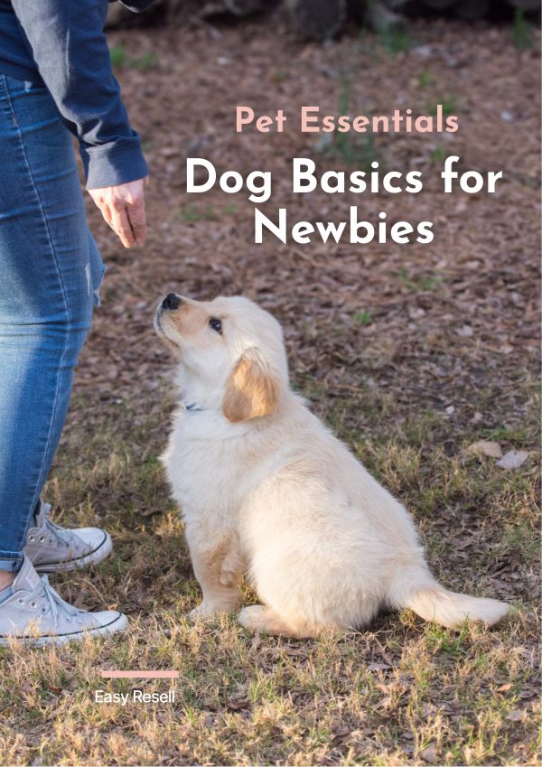 Dog Basics for Newbies