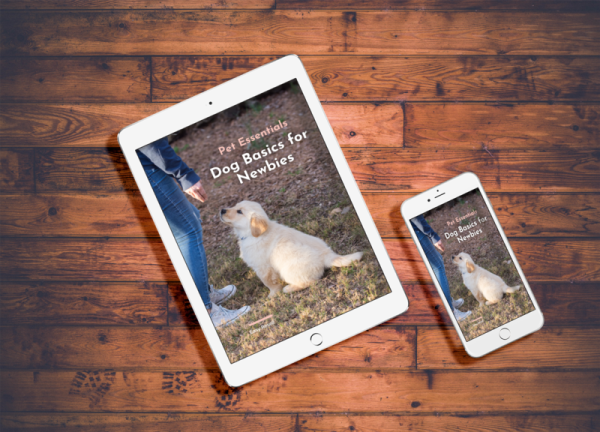 Dog Basics for Newbies eBook from Easy Resell